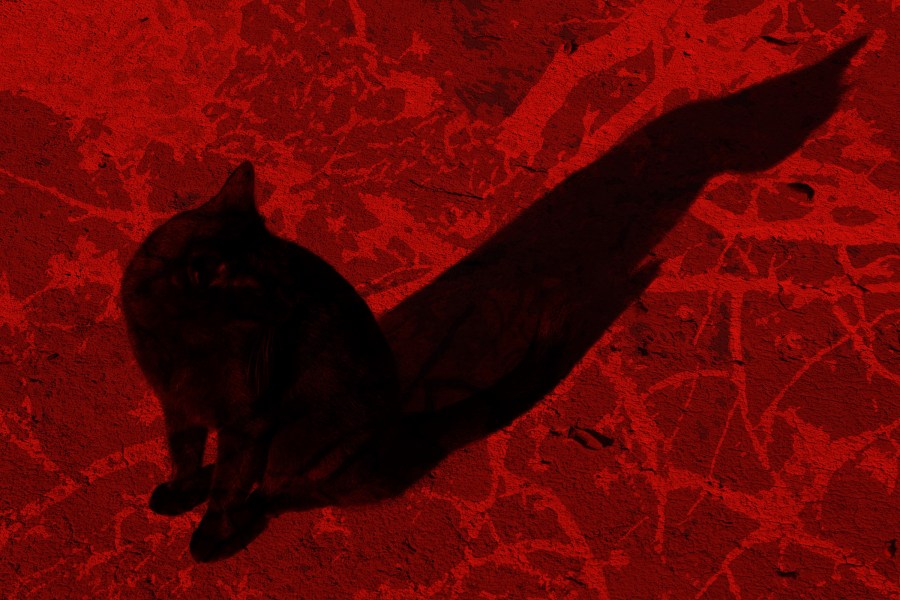 10195201544_538d75e8ef_o_resize