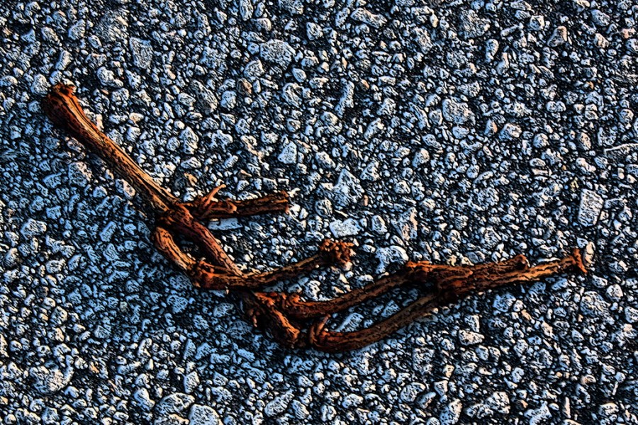 8244115993_94ecb252d4_o