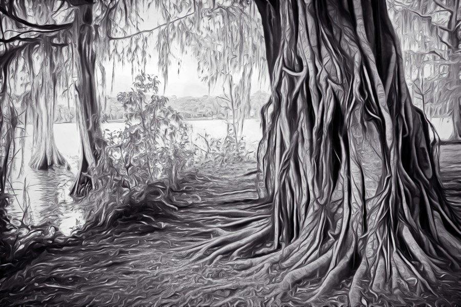 IMG_9538adjA1_resize