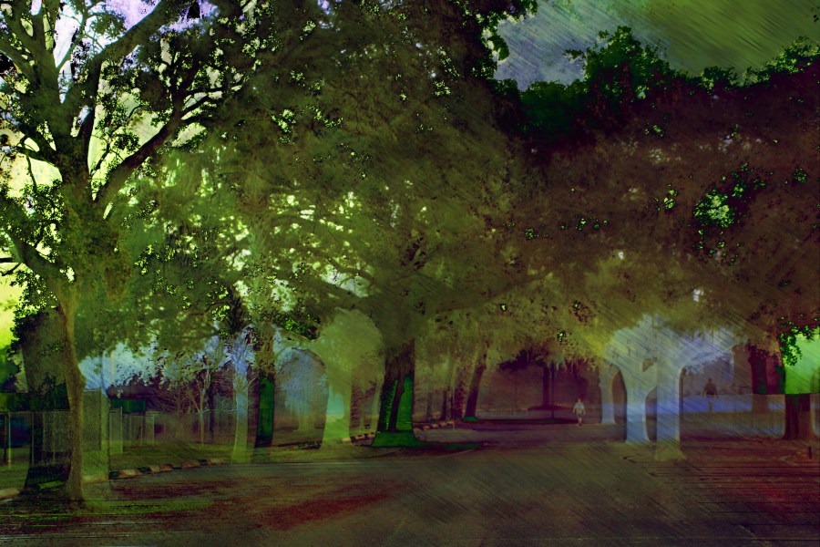 IMG_4301adj2a1_resize