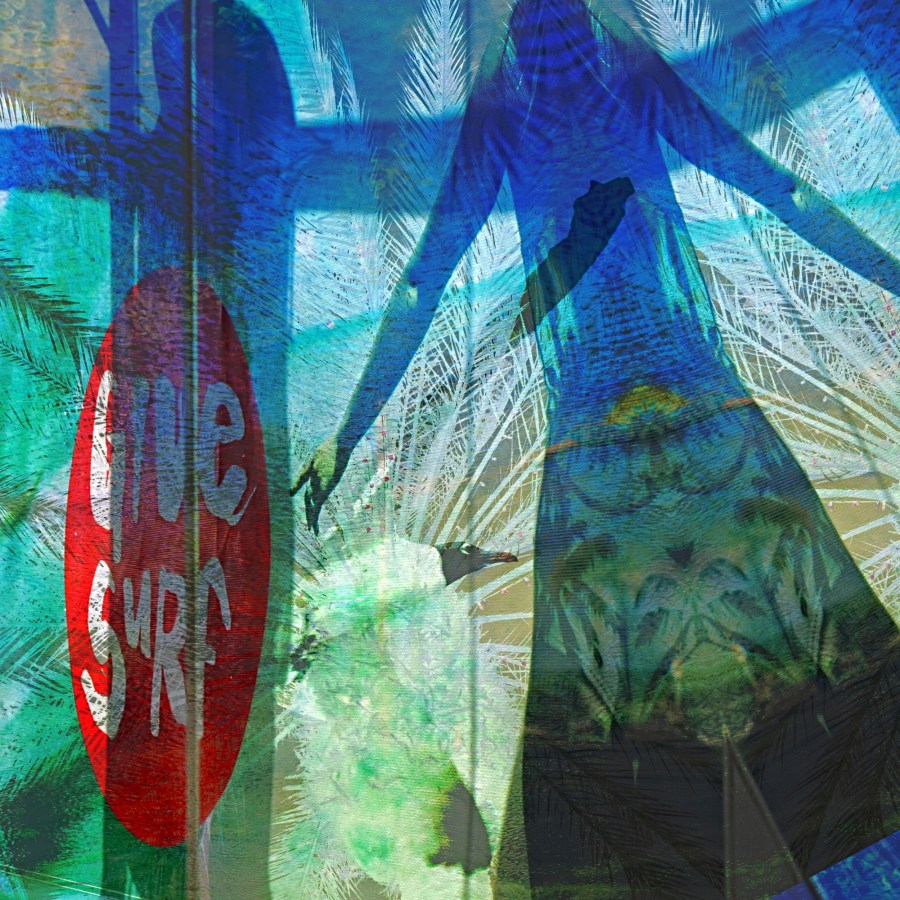 IMG_4809sq2a1a_resize